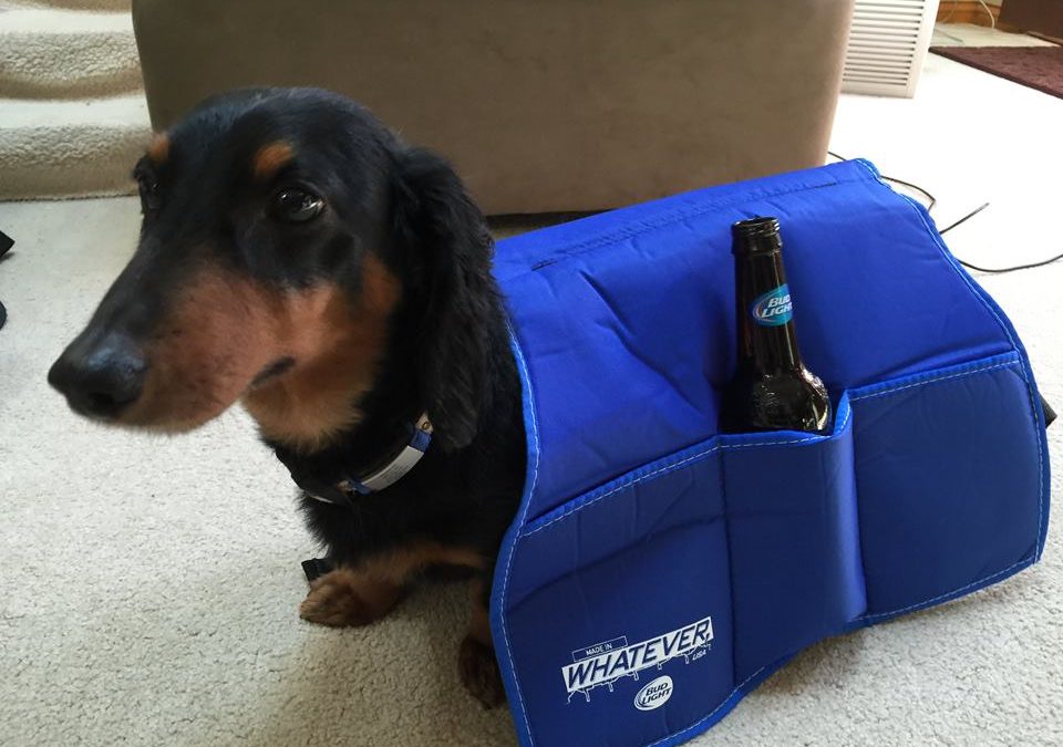 Roscoe and his Beer Rover