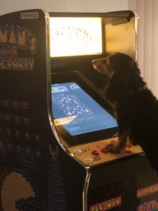 Dog playing Pac Man arcade game